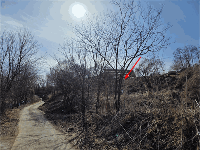 2026타경70066 사진