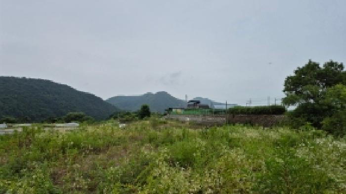 2026타경71289 사진