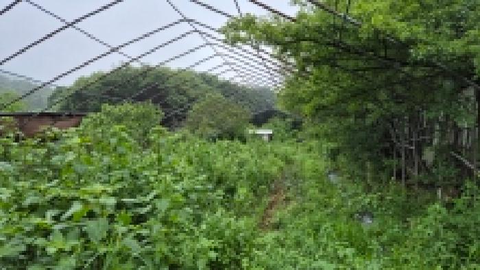 2026타경71329 사진