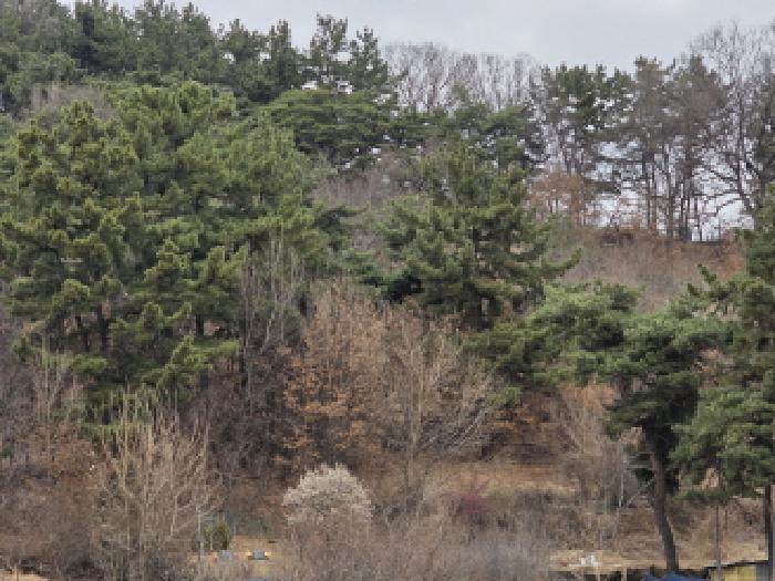 2026타경100118 사진