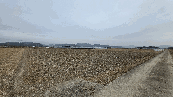 2026타경100128 사진