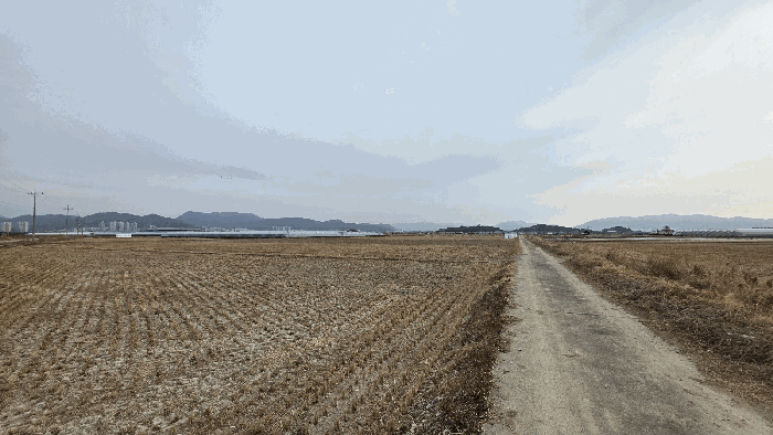 2026타경100128 사진