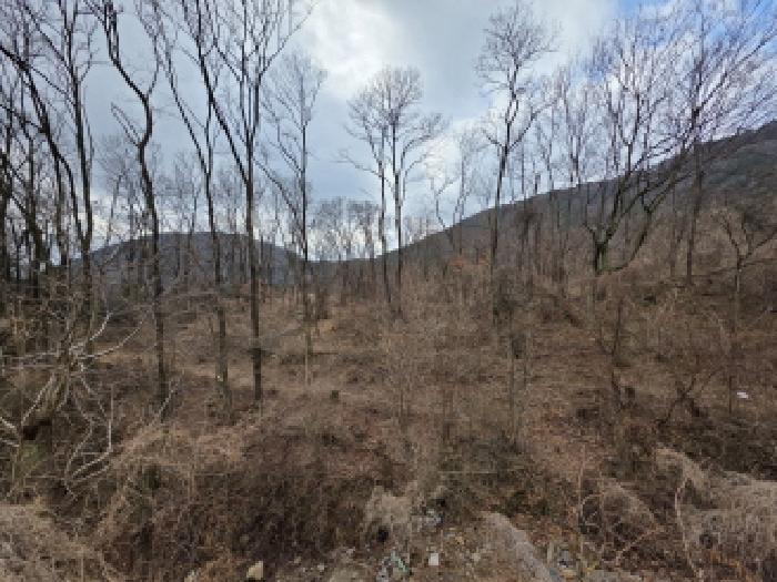 2026타경100218 사진