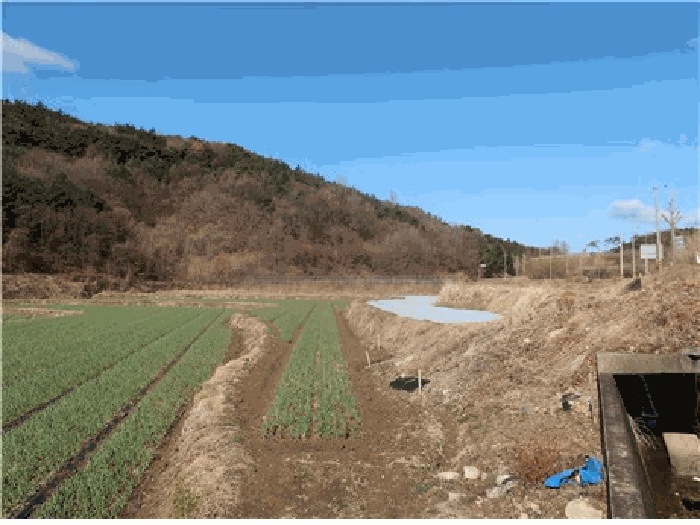 2026타경100336 사진