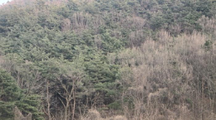 2026타경100393 사진