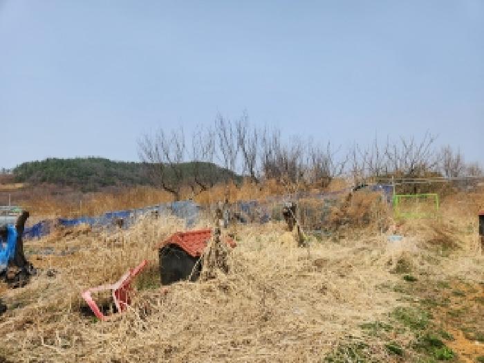 2026타경100596 사진