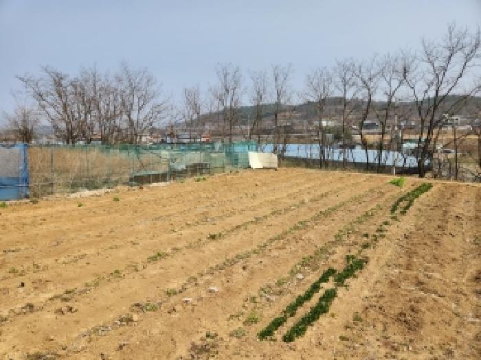 2026타경100596 사진