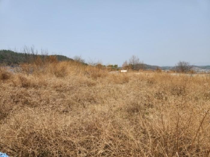 2026타경100596 사진