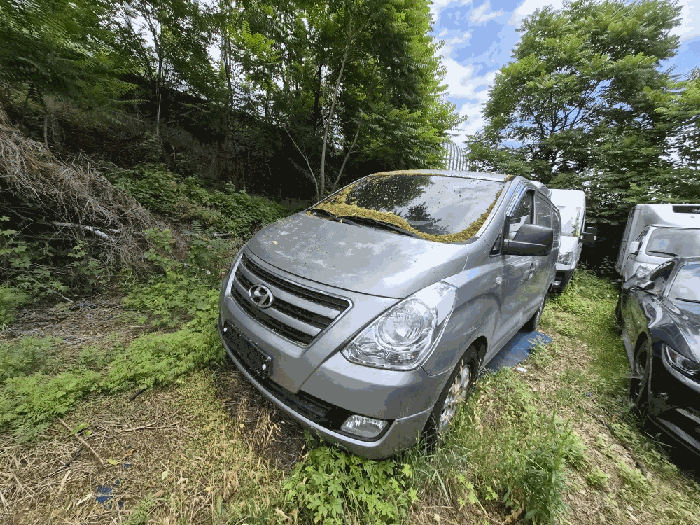 2026타경100706 사진