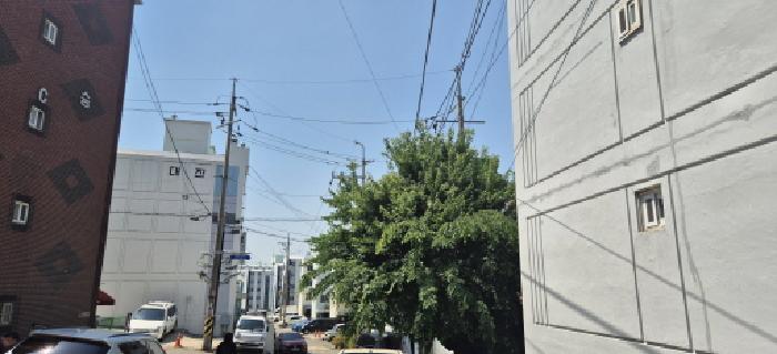 2026타경503618 사진