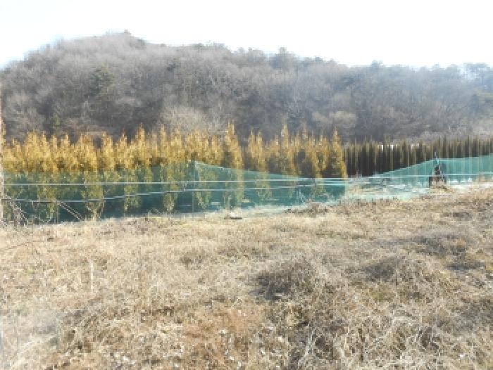 2026타경600012 사진
