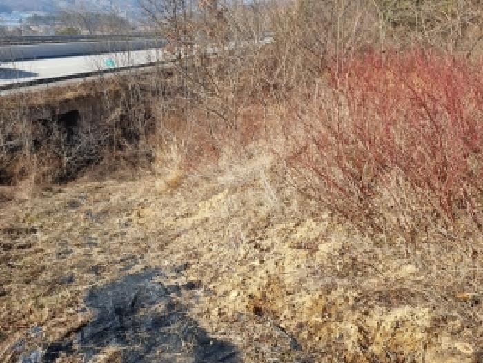 2026타경600014 사진