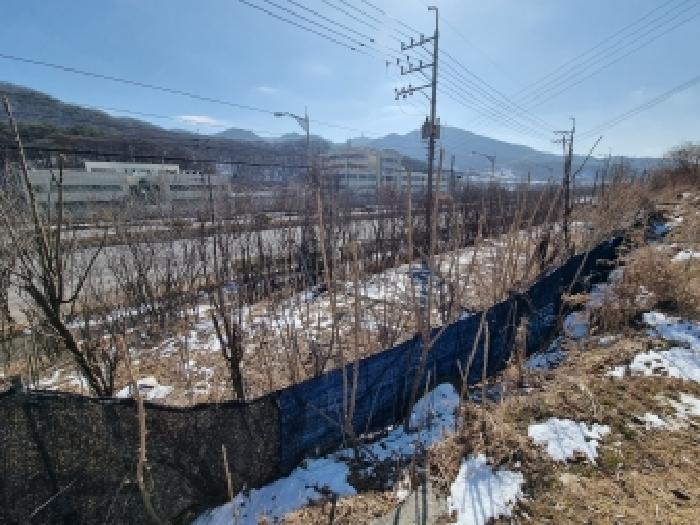2026타경600149 사진