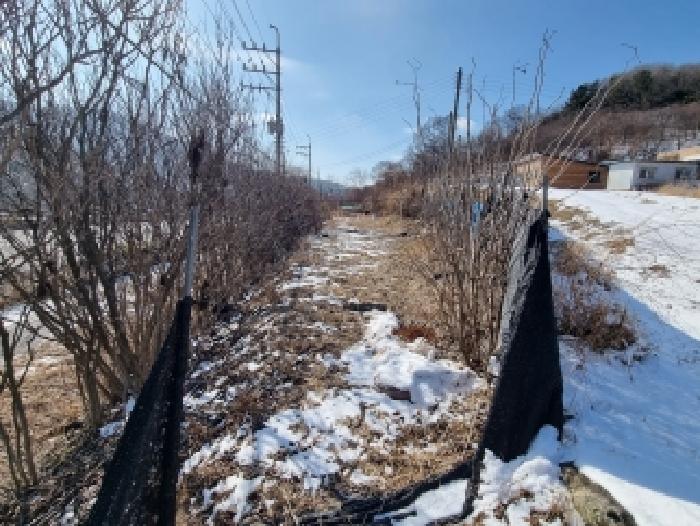 2026타경600149 사진