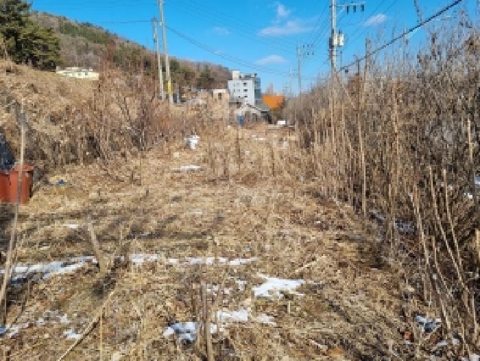 2026타경600149 사진