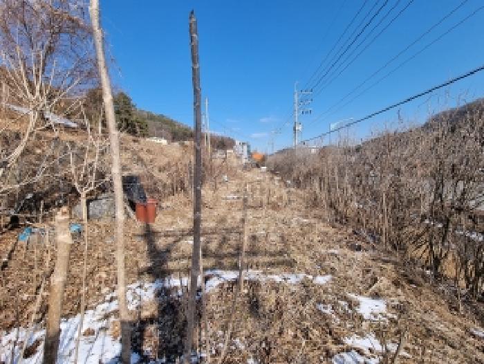 2026타경600149 사진