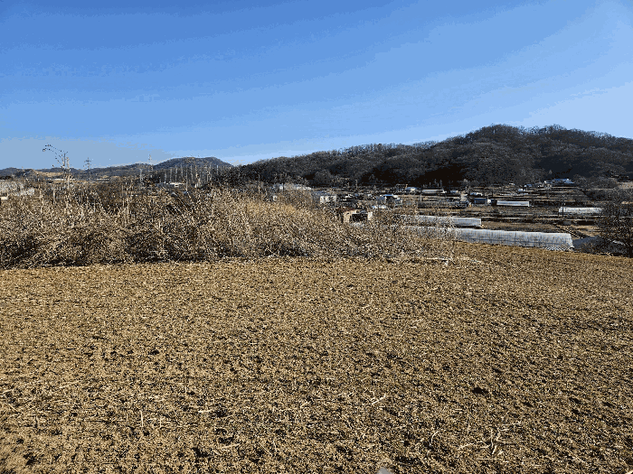 2026타경600247 사진