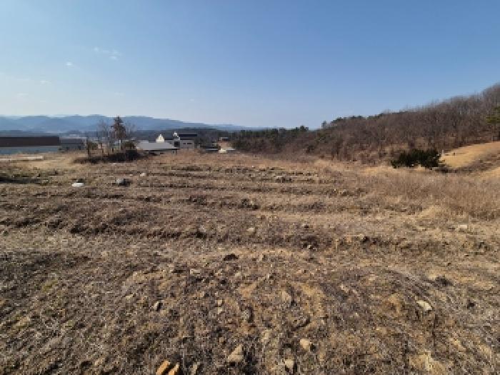 2026타경600329 사진
