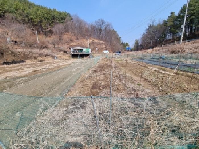 2026타경600386 사진