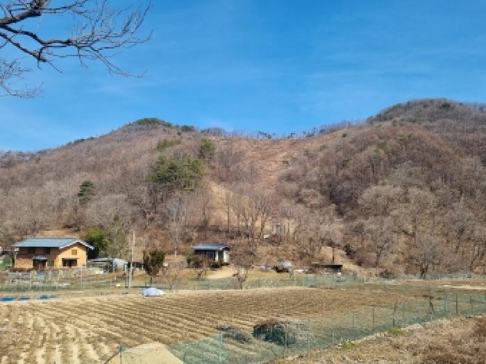 2026타경600403 사진