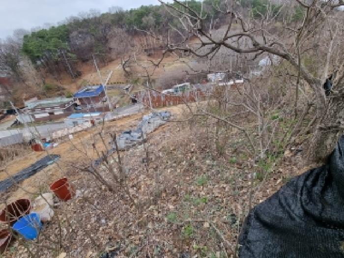 2026타경600613 사진