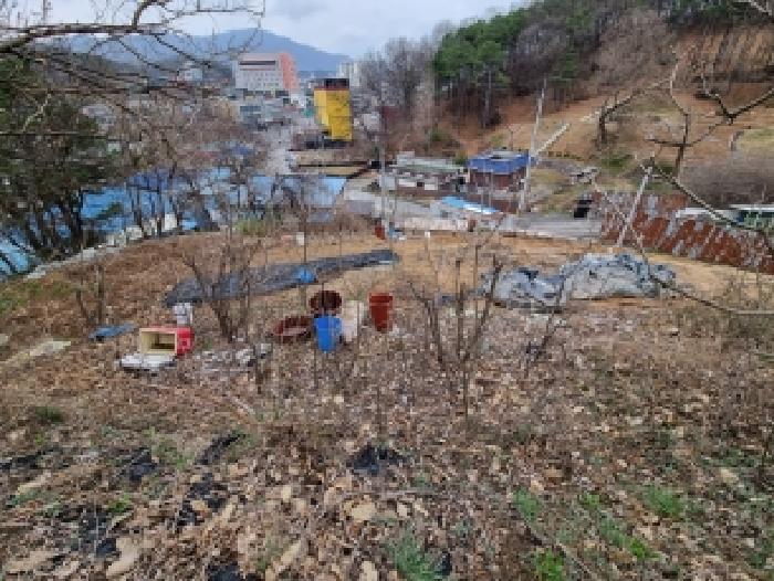 2026타경600613 사진
