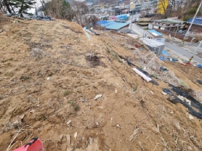 2026타경600613 사진