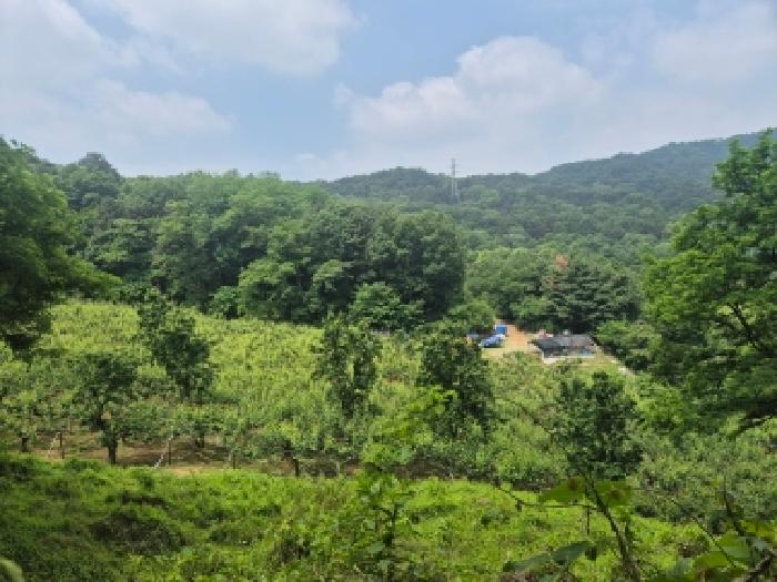 2026타경601029 사진