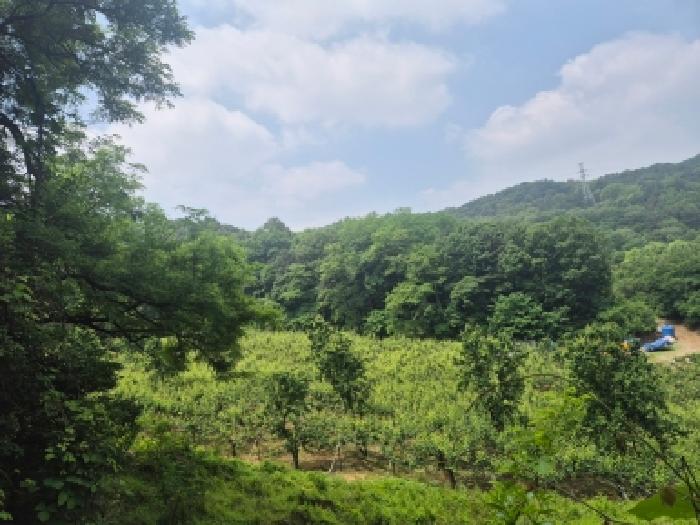 2026타경601029 사진