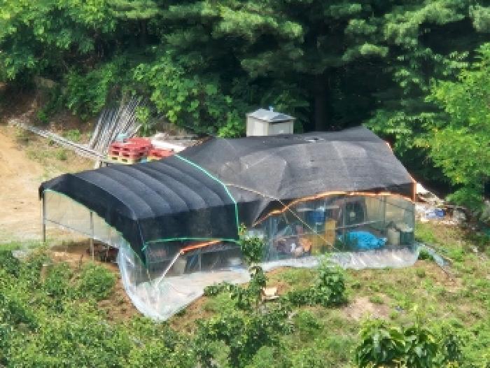 2026타경601029 사진